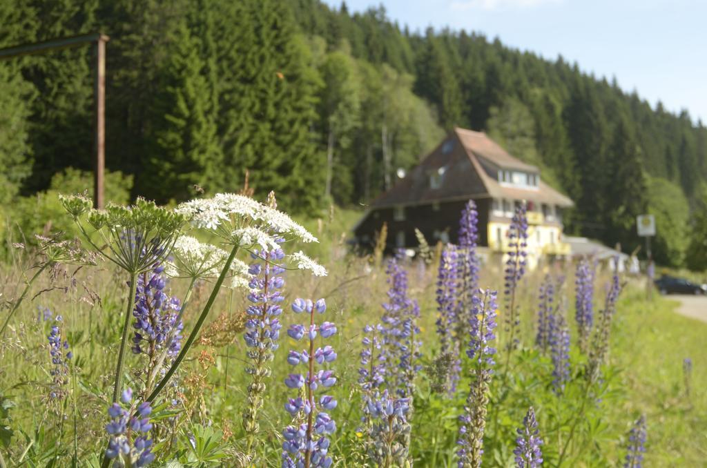 Gasthaus Hotel Loeffelschmiede Feldberg  Exterior foto